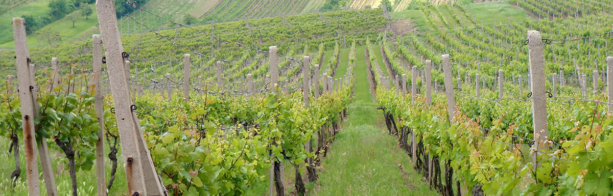 Důležité sdělení test popis