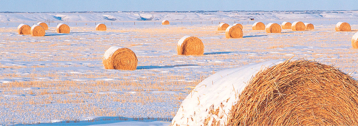 SAZBY JEDNOTLIVÝCH DOTAČNÍCH TITULŮ JEDNOTNÉ ŽÁDOSTI 2017 